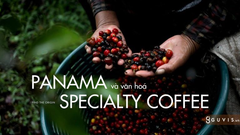 Gesha Panama - Mảnh Đất Sinh Ra Những Hạt Cà Phê Đỉnh Cao 4
