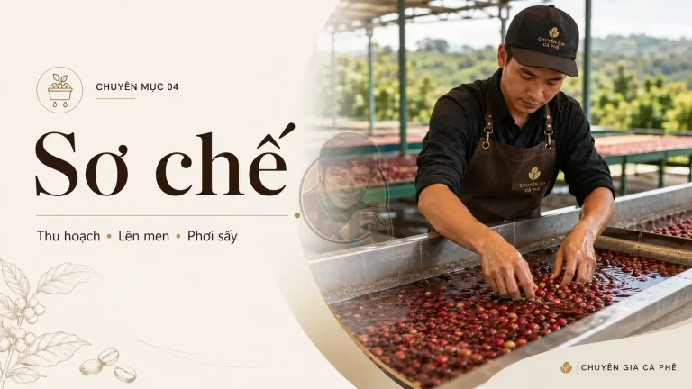 Chuyên mục 04